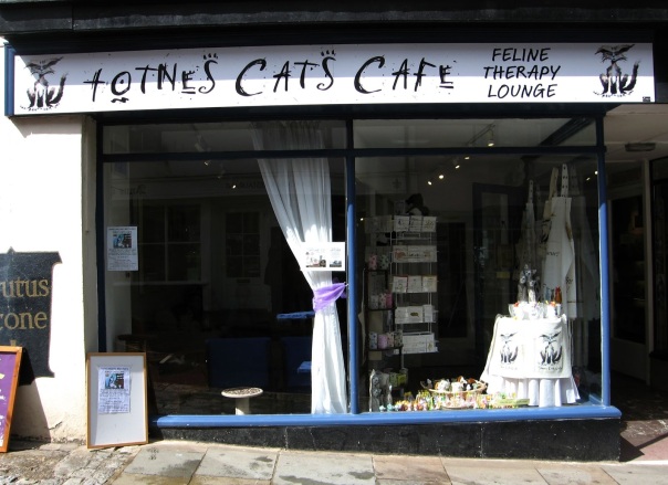 Totnes Cats Cafe